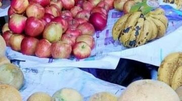استقرار نسبى فى أسعار الخضروات والفاكهة بأسواق دمياط اليوم الثلاثاء 13-5-2025 –  سبق 24
