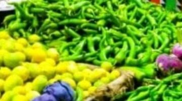 أسعار الخضروات بأسواق الشرقية اليوم الأربعاء 14 مايو.. الطماطم ب 10 جنيهات –  سبق 24