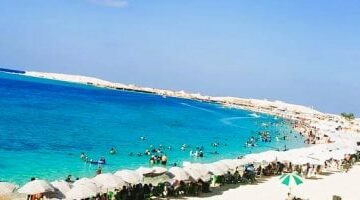 4 أبراج بتخلي تجمعات العيلة في المصيف لها طعم.. يحبوا الضحك واللعب  –  سبق 24