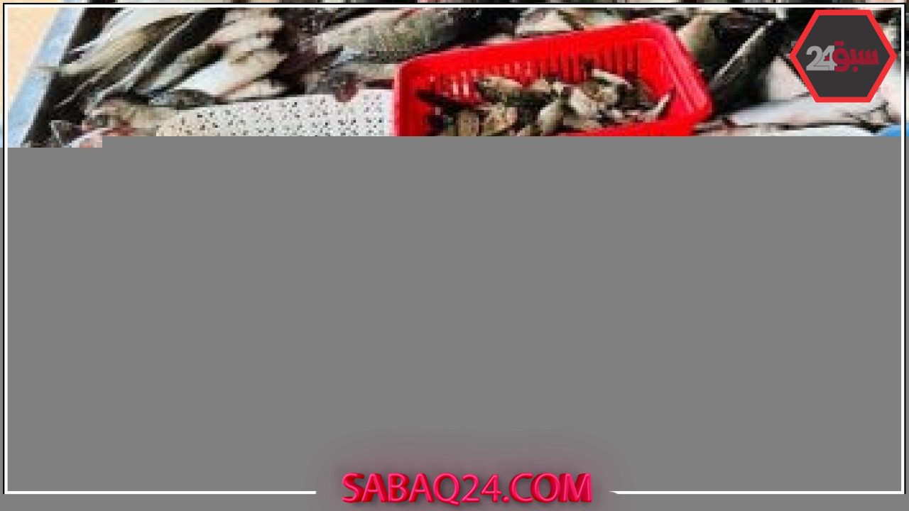 أسعار الأسماك اليوم الأحد 18-5-2025 فى كفر الشيخ.. البلطي بـ 70 جنيها – سبق 24