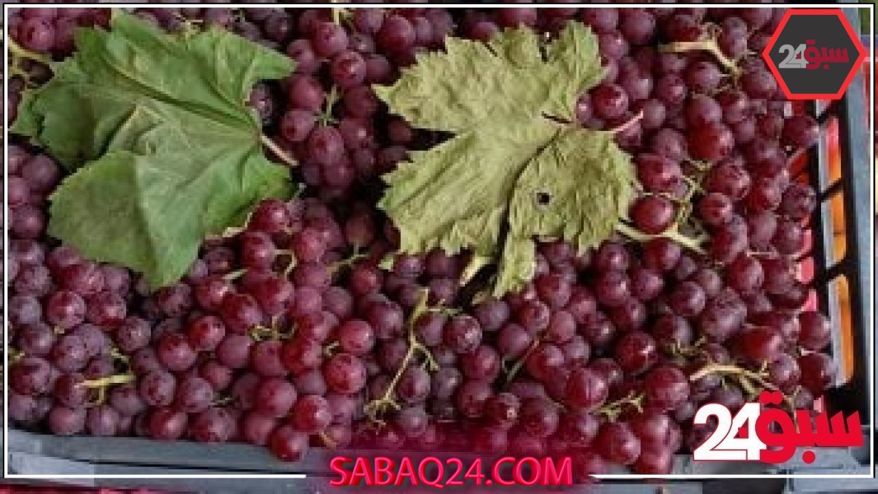 أسعار الخضروات والفاكهة اليوم الثلاثاء 20-5-2025 فى الأقصر.. العنب بـ100 جنيه – سبق 24