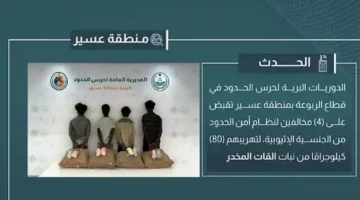 إحباط محاولة تهريب 80 كيلو من القات وضبط 4 مخالفين في منفذ الربوعة السعودي