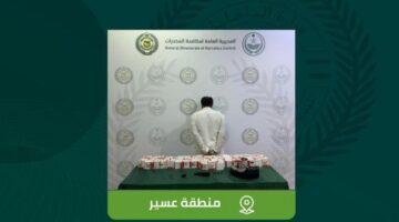 الجوف.. القبض على شخص لترويجه مادتي الحشيش والإمفيتامين المخدرتين