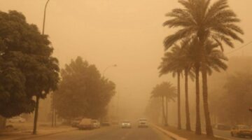 حالة الطقس.. استمرار الرياح النشطة المثيرة للأتربة والغبار