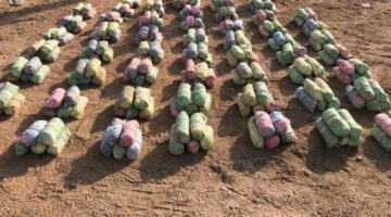 عسير.. إحباط تهريب 40 كيلوجرامًا من نبات القات المخدر