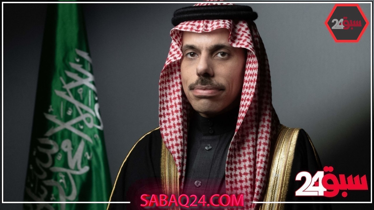 وزير الخارجية يبحث المستجدات الإقليمية والدولية مع نظيرته النمساوية