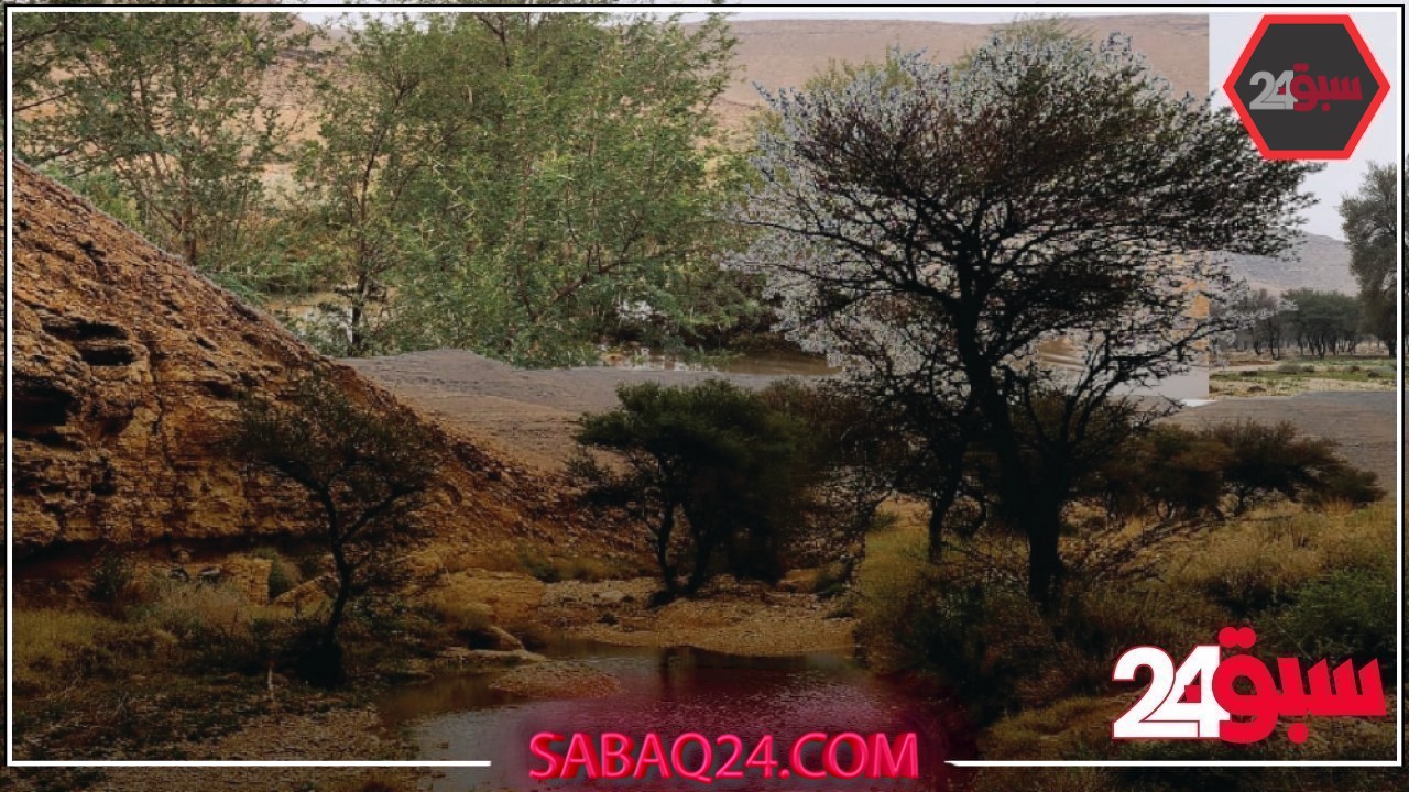 “ربيعنا دايم”.. حملة توعوية جديدة لهيئة تطوير محمية الملك عبدالعزيز