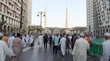 وصول 9 حافلات.. المدينة المنورة تستقبل طلائع حجاج مصر وإندونيسيا
