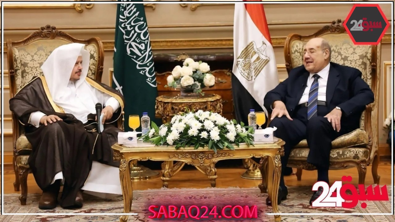 رئيس الشورى يبحث سبل التعاون الثنائي مع رئيس الشيوخ المصري