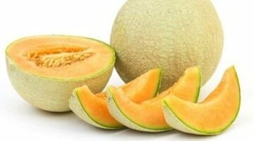 أسعار الفاكهة بأسواق مطروح اليوم الأحد 18-5- 2025.. الكنتالوب بـ 20 جنيها –  سبق 24