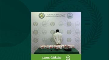 القبض على مروج الأقراص الممنوعة في عسير 