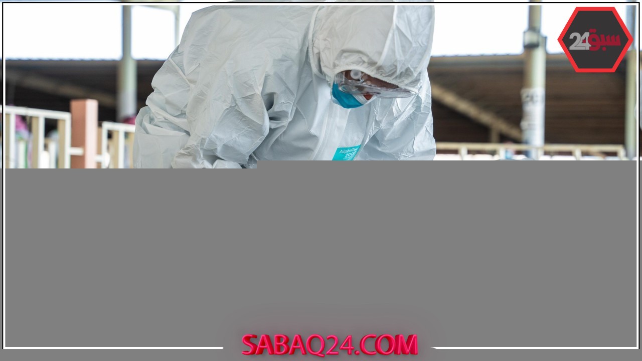 وقاء ينفذ فرضيتين لتعزيز الصحة في مكة المكرمة استعدادًا لموسم حج 1446هـ