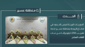 إحباط تهريب 250 كيلوجرامًا من القات المخدر بعسير في عملية أمنية ناجحة