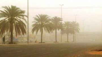 توقعات الطقس اليوم: عوالق ترابية على عدة مناطق 