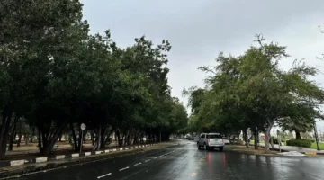 أمطار ورياح نشطة على نجران حتى المساء 