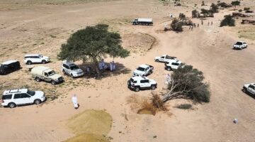 سقوط أشجار بسبب سيول ورياح حائل وفرق الغطاء النباتي تباشر