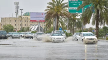 الأرصاد السعودية تطلق إنذارات واسعة اليوم: 12 منطقة مهددة برياح وأمطار وسيول جارفة