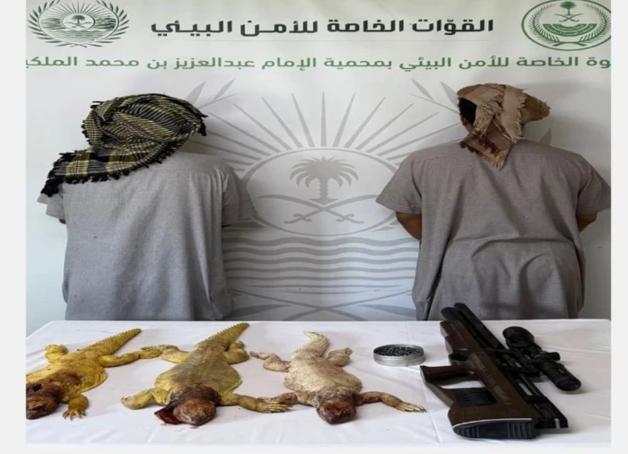 القبض والتشهير بمواطنين بالرياض لصيدهم 3 ضبان في مناطق محظورة