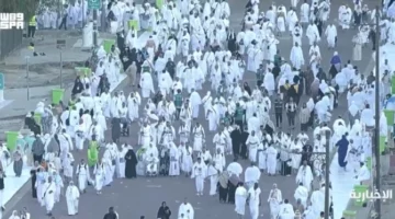 عدد الحجاج 1446هـ: المملكة تعلن رسمياً إجمالي أعداد الحجاج لموسم هذا العام