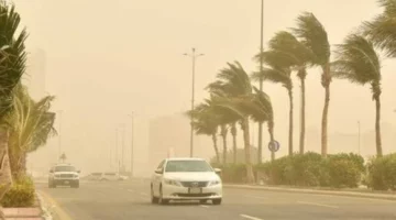 أمطار رعدية ورياح نشطة اليوم.. الأرصاد تعلن توقعات الطقس في هذه المناطق