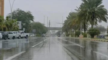 حالة الطقس اليوم: أمطار رعدية وزخات برد قوية والأرصاد تحذر من الرياح