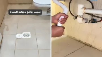 أسباب الروائح الكريهة في الحمام: مختص يوضح بالفيديو طرق التخلص منها الفعّالة