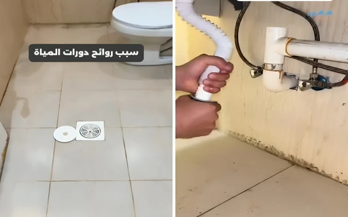 أسباب الروائح الكريهة في الحمام: مختص يوضح بالفيديو طرق التخلص منها الفعّالة