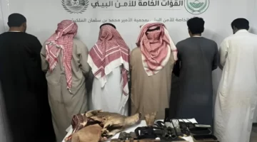 صيد الوعل البري: ضبط 6 مواطنين في محمية الأمير محمد بن سلمان والكشف عن المضبوطات