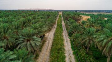 الأحساء تسجل ثاني أعلى درجة حرارة في العالم اليوم وفق تقارير الأرصاد