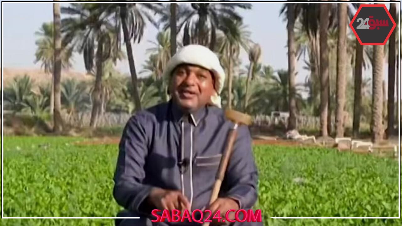 الزعاق: علاقة العرب بالنجوم وجودية حقيقية وليست تراثًا فقط – شاهد الفيديو