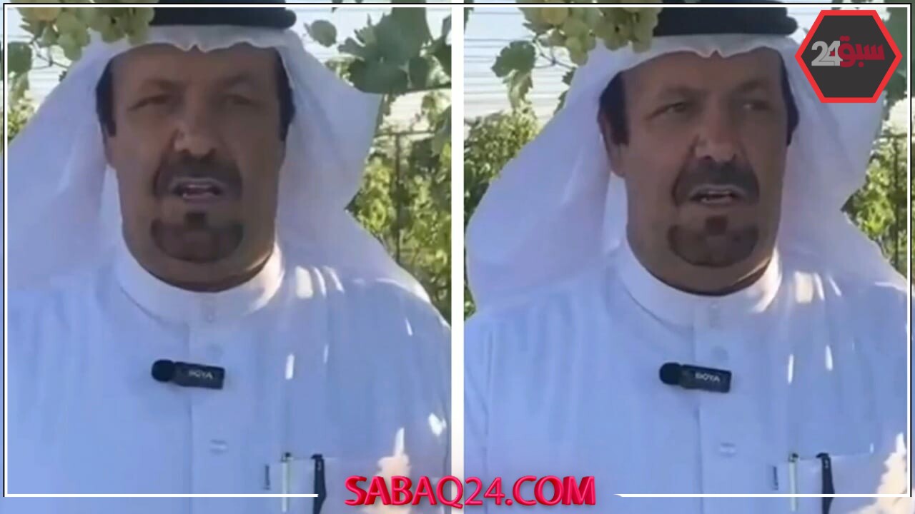إنتاج العنب في طبرجل: مزارع يحقق 50 طناً سنوياً من أجود الأنواع – فيديو حصري