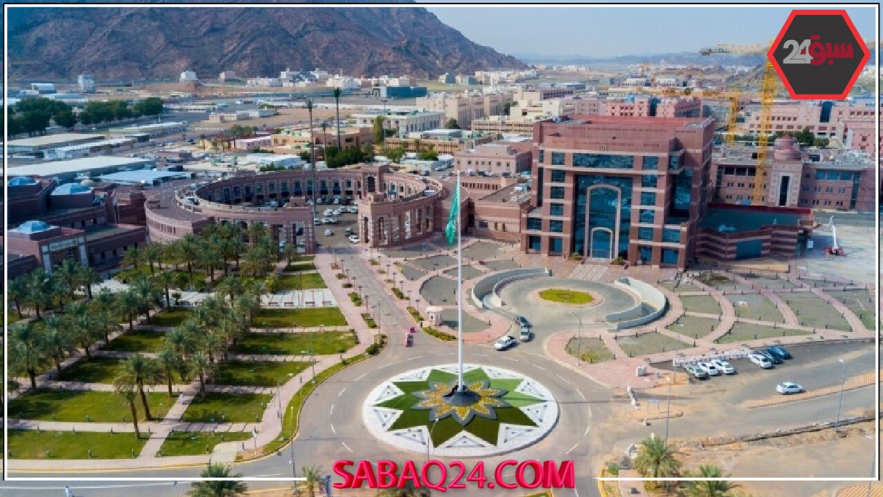 شروط القبول بالجامعات: 3 يوليو الموعد النهائي لإضافة التخصصات الجديدة