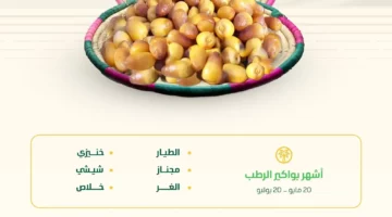 بواكير الرطب الحساوي تَعِد بمحصول وفير والأسواق تستعد لطرح أجود الأصناف