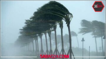 رياح نشطة تضرب شرورة اليوم بسرعة كم/ساعة.. الأرصاد تحذر السكان