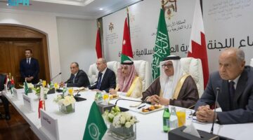 اللجنة الوزارية للقمة العربية الإسلامية تعقد اجتماعًا افتراضيًا مع الرئيس الفلسطيني