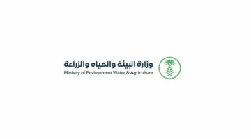 نجاح تجاري لتجربة حصاد القمح المحلي المتطور: إنتاج 8 آلاف كجم للهكتار